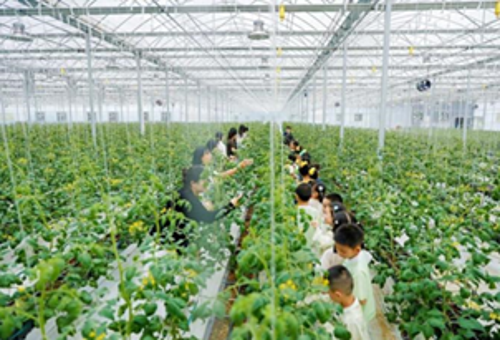 唐臣劳育课第二讲 走进中农·超级植物工厂
